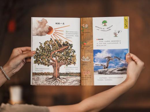 《法国巨眼丛书系列：孩子的第一套通识教育读库》（礼盒装全40册）下单赠送限量好礼： 赠品1 巨幅“知识拓展思维导图”3张 ，赠品2图文并茂《综合题库》。 商品图7