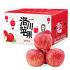 MAP·陕西洛川苹果礼盒装24粒 商品缩略图0