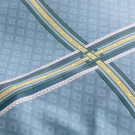 【小家电】水星家纺磨毛印花四件套（抗菌）都市印象 HF 商品图4