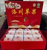 【9斤更值！陕西洛川苹果】原产地直供苹果之乡，素以色/香/味俱佳著称，人工精心栽培，天然无污染种植，新鲜孕妇水果，国产红马果应季红富士苹果L 商品缩略图0
