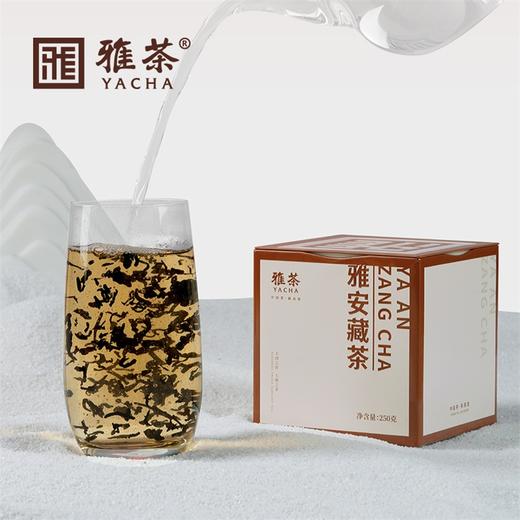 【四川】雅茶雅安藏茶铁罐装 商品图4