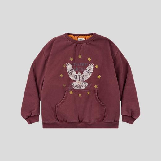 GOODBAI 916星星白鸽印花水洗加厚oversize卫衣 商品图3