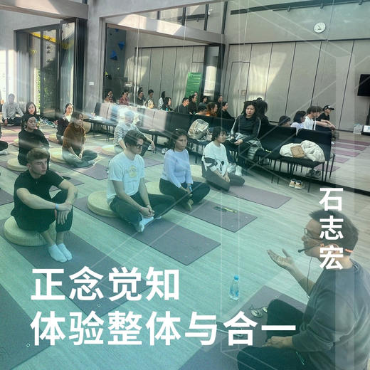 正念觉知-体验整体与合一 商品图0