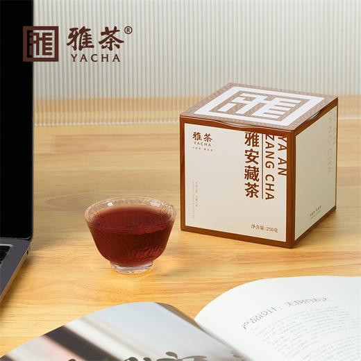 【四川】雅茶雅安藏茶铁罐装 商品图5