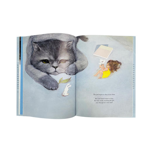 Mr. Cat and the little Girl 适合5岁+友谊情商逆商英文绘本 商品图2