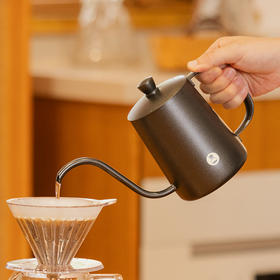 泰摩 鱼三手冲壶 鱼3挂耳冲泡壶 304不锈钢滴漏式家用长嘴咖啡壶