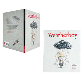 The Weatherboy 适合3岁+日常生活情绪管理