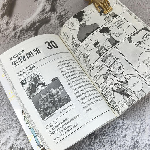 天地创造设计部 5 商品图1