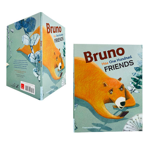 Bruno Has One Hundred Friends平装适合5岁+情商开发生活日常 商品图0