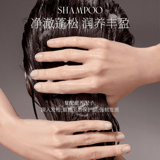 Demiki 黛觅希 净澈洗发水 白玫瑰香 50ml 体验装 商品图1