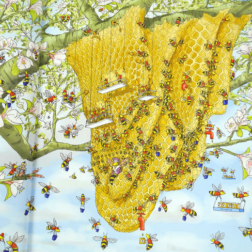 River +beaver 3岁+世界地理游戏儿童英文绘本 商品图3