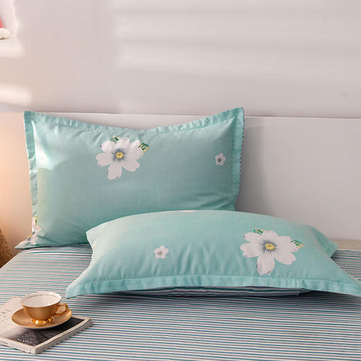 圣夫妮  臻棉四件套200*230cm--美好纯梦SFN-009 商品图2