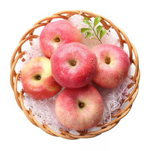 MAP·陕西洛川苹果礼盒装24粒 商品图2