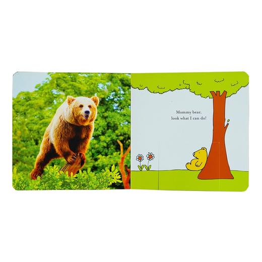 Mack低幼亲子互动隐藏游戏原版英文绘本 商品图3