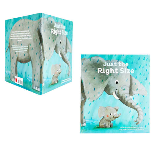 Just the right size适合3岁+日常生活探索世界认识动物英文绘本 商品图0