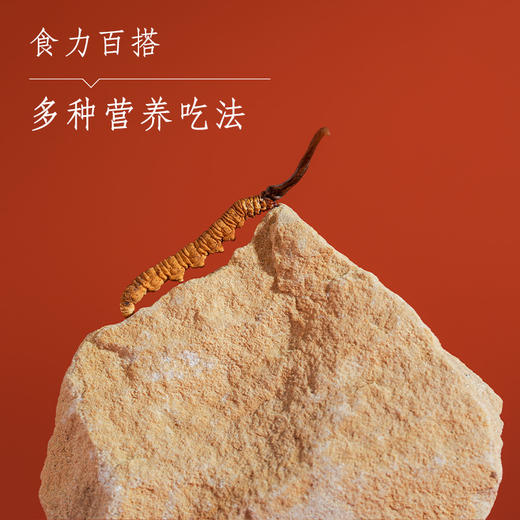 虫草轻奢礼盒 商品图3