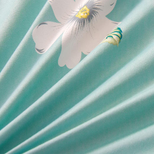 圣夫妮  臻棉四件套200*230cm--美好纯梦SFN-009 商品图3