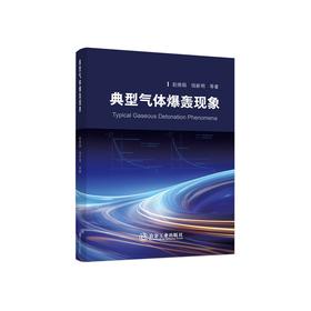 典型气体爆轰现象/赵焕娟 钱新明 等