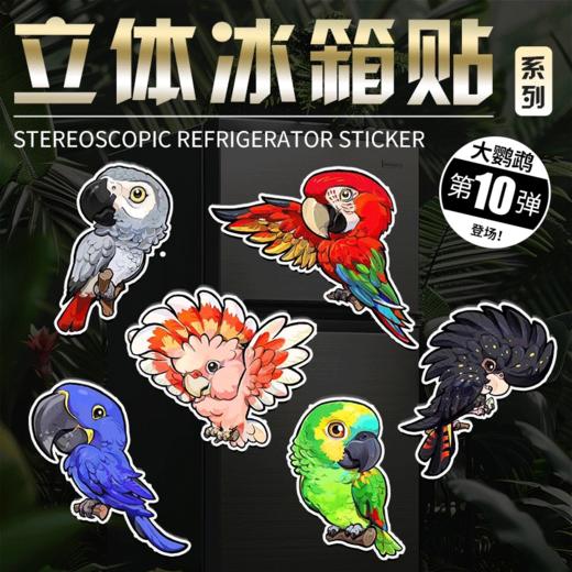 【48小时发货】鹦鹉 主题冰箱贴 Q版卡通动物古生物周边 super rep官方正版 商品图0