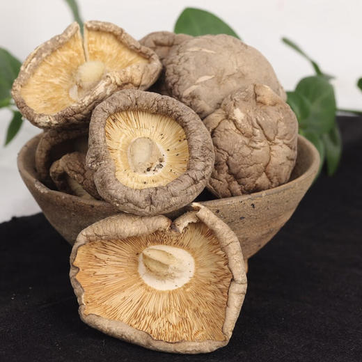 正道和丰  鲜味人知ZDX-002 商品图6