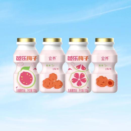 【宜昌助农馆】芭乐梅子多乳酸菌   夏日饮品100ml*20瓶 礼盒装 商品图1