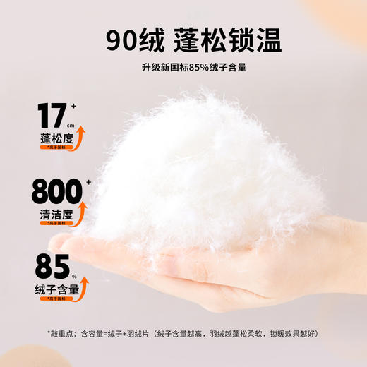 迪士尼童装男童羽绒服中长款2024冬季保暖中小童白鸭绒连帽羽绒服214DS0374 商品图4