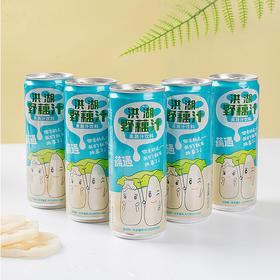荆州洪湖 华贵 野藕汁310ml*12罐/提