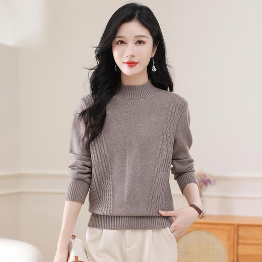 CC-108-1255半高领打底衫女秋冬厚款毛衣2024新款款时尚纯色套头内搭针织衫 商品图0