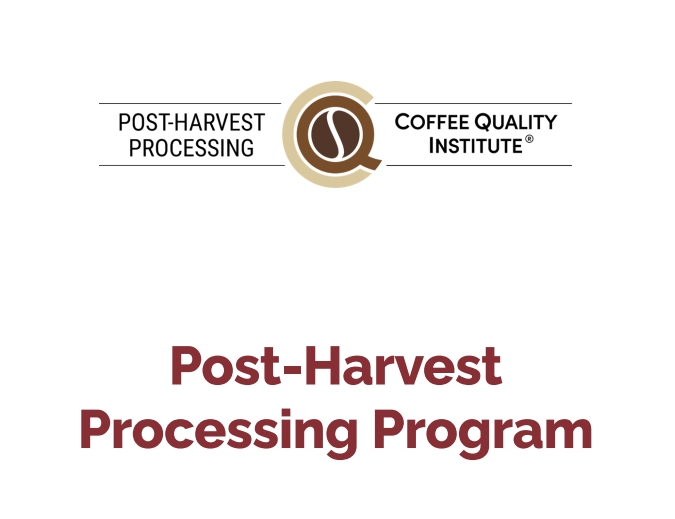 Q Processing Q处理【研讨会】门票