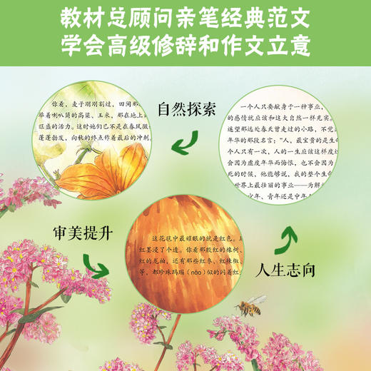 大家小绘系列：夏感与秋思 商品图1