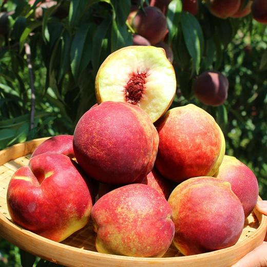 【超好吃！山东青州蜜桃】每一个果子都是精挑细选，多次筛检，只为给您新鲜的果子，新鲜脆甜青桃子应季水果非黑桃L 商品图3