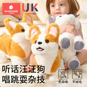 科巢儿童学说话玩具礼物毛绒电动狗安抚婴儿宝宝复读仿真宠物玩偶