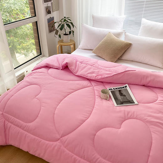 圣夫妮  亲肤磨毛舒适四季被200*230cmSFN-122 商品图1