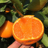 【鲜嫩爽口！浙江台州涌泉蜜桔】肉质细腻，新鲜酸甜薄皮甜橘子应季纯甜黄桔子L 商品缩略图0