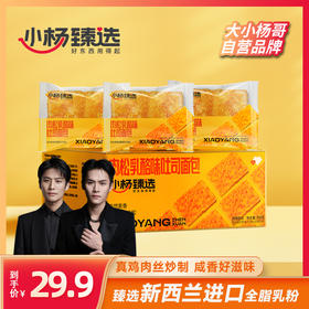 小杨臻选 肉松乳酪味鲜吐司面包700g 整箱发货