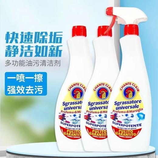 意大利进口chanteclair 大公鸡多功能油烟机厨房除去油污渍重油污净清洁剂600ml*3瓶 商品图6