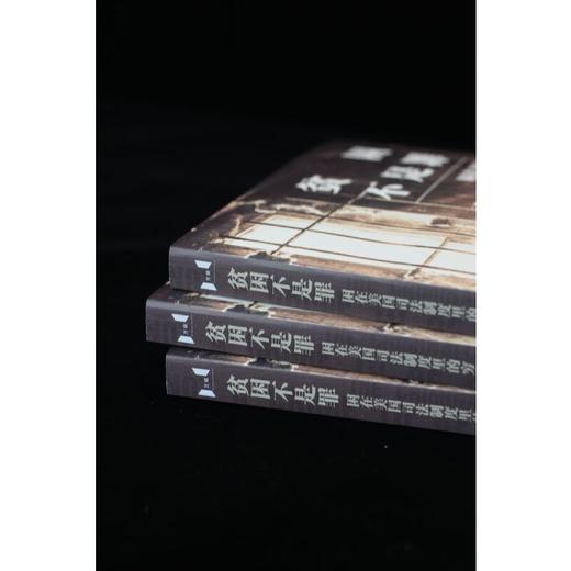 贫困不是罪：困在美国司法制度里的穷人（万镜·现象）(彼得·埃德尔曼) 商品图2