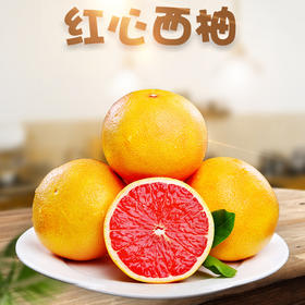 【产地直供！新鲜福建西柚】咬一口满嘴飙汁，肉质鲜嫩，爽口多汁，颗颗人工精选，果实浓香十足，新鲜国产西柚红蜜柚酸甜节日水果L