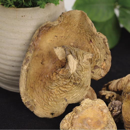 正道和丰  鲜味人知ZDX-019 商品图4