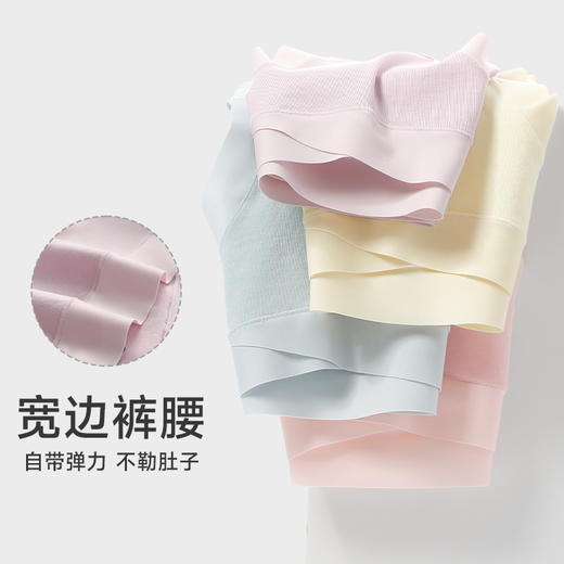 芬腾孕妇内裤中晚期怀孕期专用透气抗菌裆产后低腰托腹无痕三角裤 商品图4