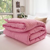 圣夫妮  亲肤磨毛舒适四季被200*230cmSFN-122 商品缩略图4