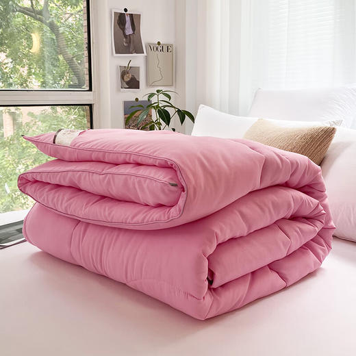 圣夫妮  亲肤磨毛舒适四季被200*230cmSFN-122 商品图4