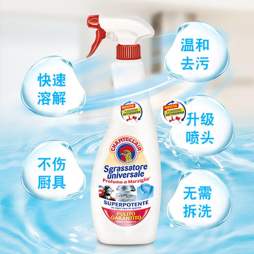 意大利进口chanteclair 大公鸡多功能油烟机厨房除去油污渍重油污净清洁剂600ml*3瓶 商品图1