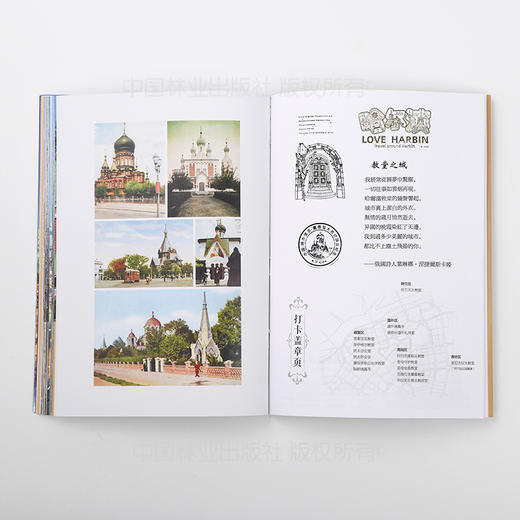 哈尔滨老教堂建筑艺术纵览 &2841 唐家骏 著  中国林业出版社 商品图5