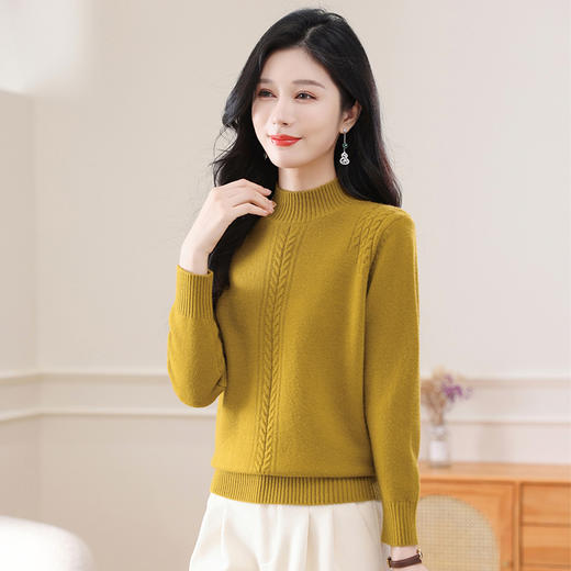 CC-108-1257半高领毛衣女秋冬2024新款中领打底衫加厚内搭小个子短款上衣洋气 商品图3