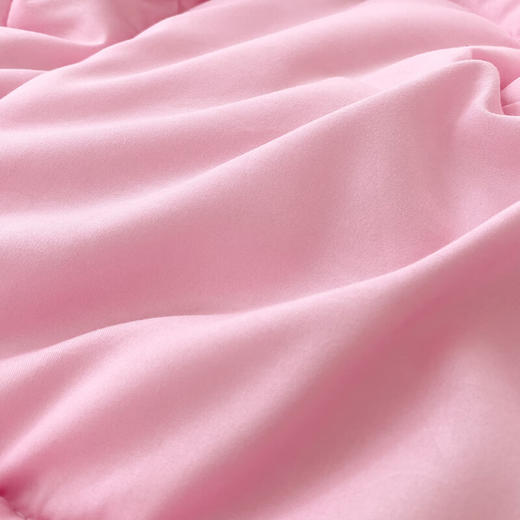 圣夫妮  亲肤磨毛舒适四季被200*230cmSFN-122 商品图2