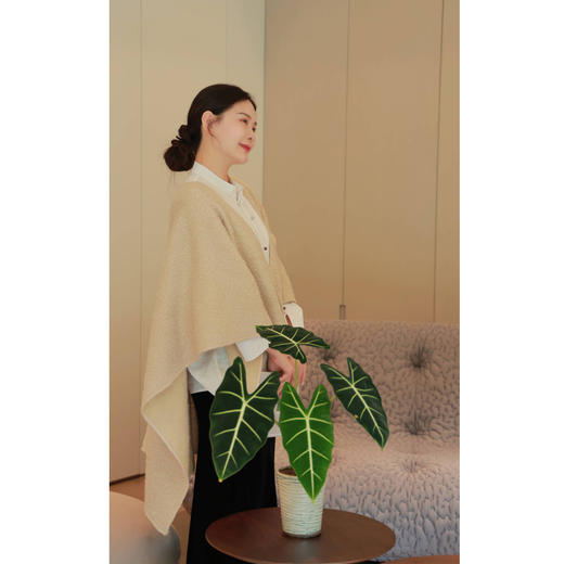 【2026东衣作】披肩（21705029B假山南） 商品图0