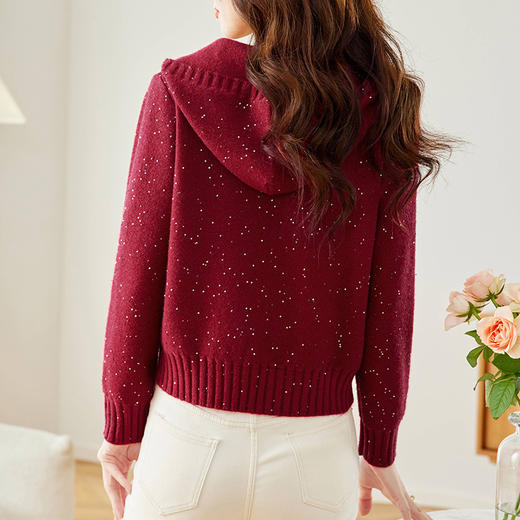 CC-MY-68315连帽羊毛针织外套女士短款2024新款秋冬季小香风上衣毛衣拉链开衫 商品图3