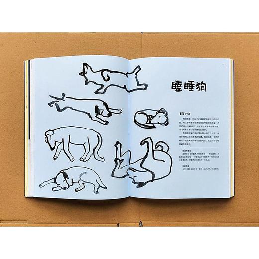 我从这本书开始玩创意 商品图3