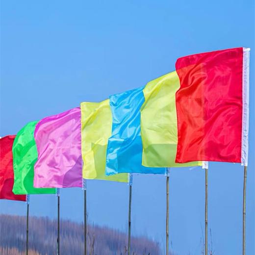 插彩旗竹子 刀旗路边红旗竹竿 旗杆 道旗竹杆 2.5m小竹子装饰户外五色彩旗 50支 商品图1